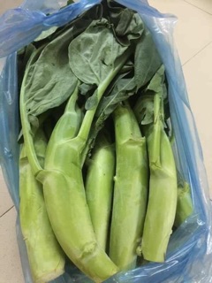 Hạt giống cài ngồng lan cai cai