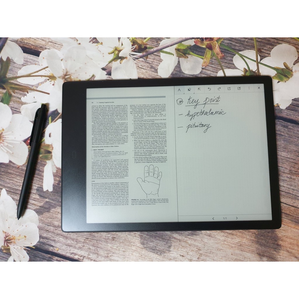 Combo: Máy đọc sách Likebook Alita + Bao da chính hãng + Dán màn hình + tặng kho Sachchuan và kho sách PDF | BigBuy360 - bigbuy360.vn