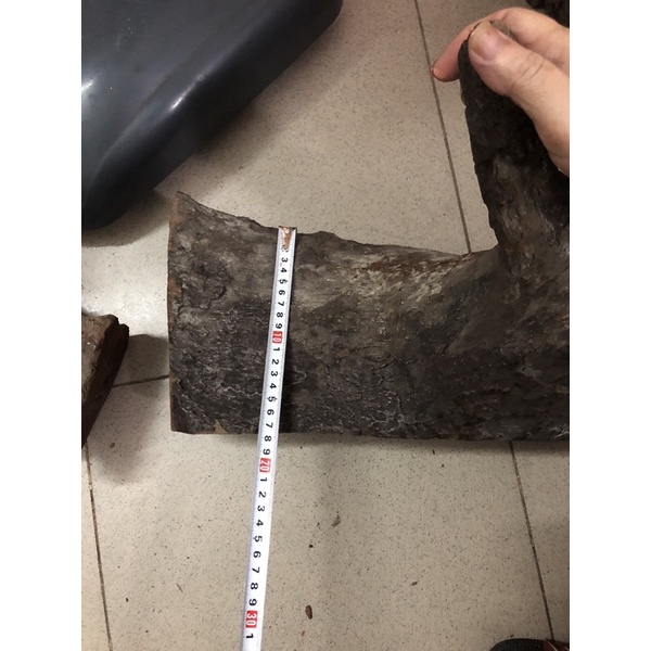 Lũa ghép lan Quảng Trị dài 40cm, rộng 20cm, cao 10cm