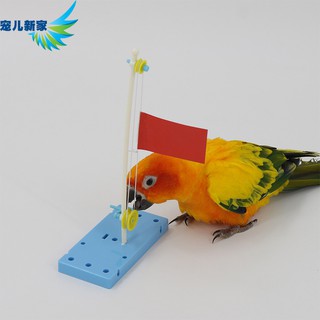 Bộ Cờ Nhiều Màu Sắc Để Huấn Luyện Chim Vẹt Tiện Dụng