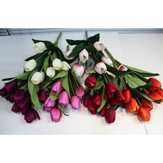 Chùm hoa tulip
