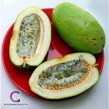 40H - #Hạt_Giống_Dưa_Gang_Tây/Dưa Tây (tặng kèm phân bón kích mầm)