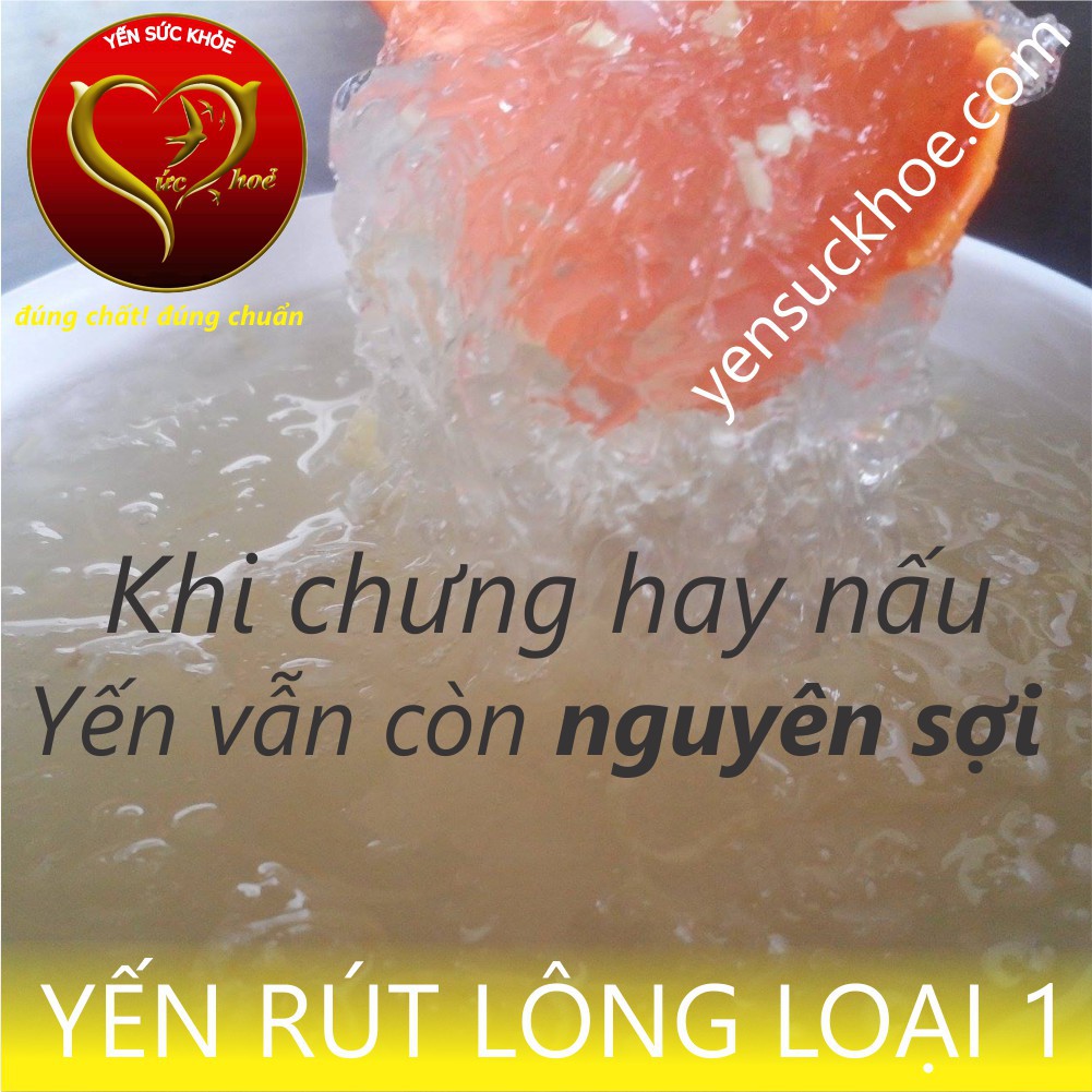 [yensuckhoe.com] 1 TỔ YẾN SỨC KHỎE LOẠI RÚT LÔNG - YẾN SẠCH CẦN GIỜ - NHÀ LÀM