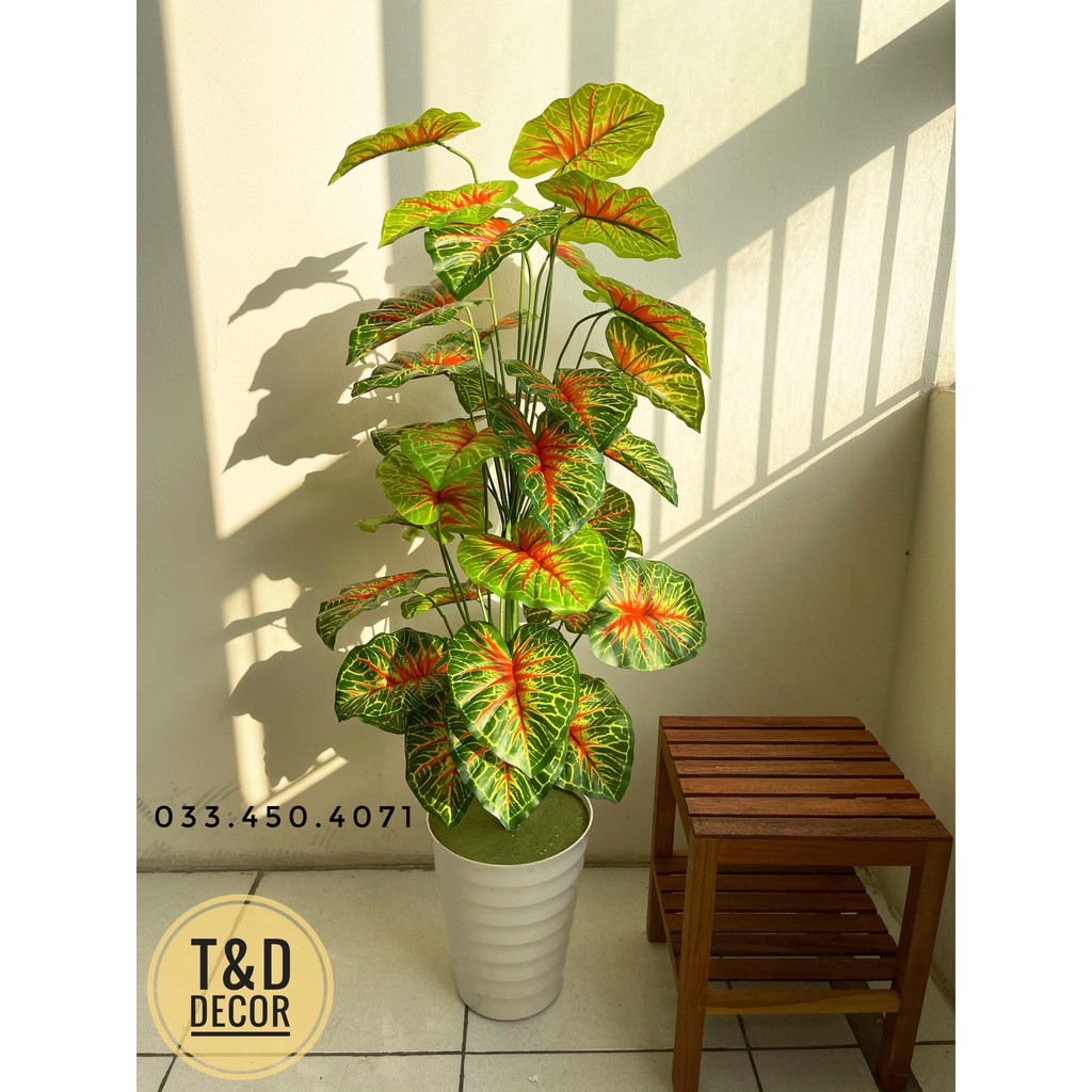 Cây môn đỏ cao 1m2- cây giả decor