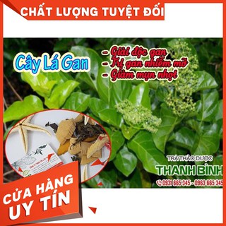 Cây Lá Gan Khô 1Kg Hàng Chất Lượng - Thảo Dược Uy Tín
