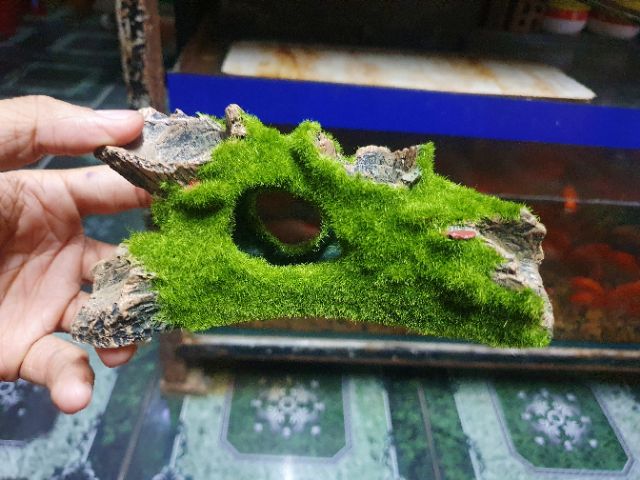 CÂY LỦA GIẢ PHỦ RÊU TRANG TRÍ HỒ CÁ NON BỘ 14X5X6CM