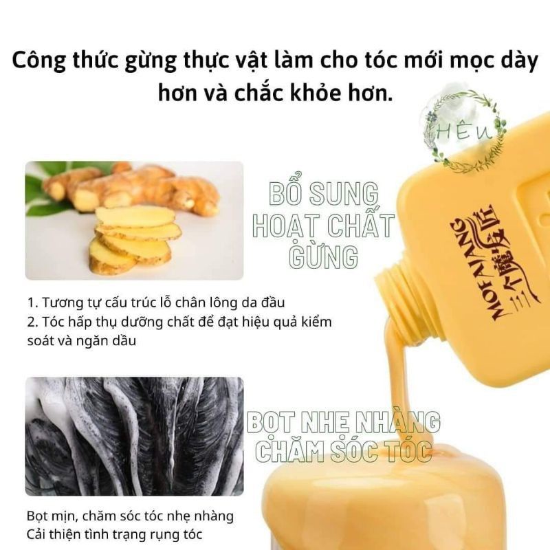 Dầu gội MOFAJANG KING GINGER ngăn rụng tóc, giảm bết dầu