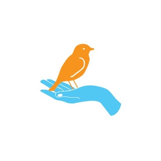 LOVECHIM - Phụ kiện lồng chim