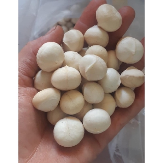 Hạt Mắc Ca Nứt Vỏ Lâm Đồng