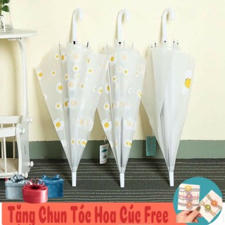[Tặng Chun Tóc Hoa Cúc] Ô Hoa Cúc Trong Suốt Chống Nước, Siêu Dày