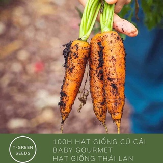 Hạt giống cà rốt Pháp baby gourmet