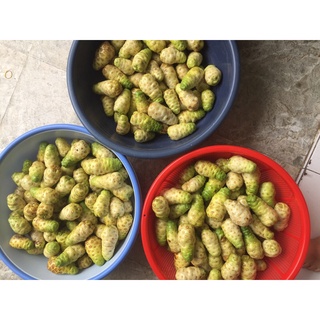 Trái nhàu tươi già trắng ( chat với shop trước khi đặt mua)