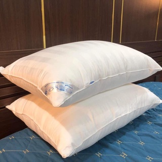 Ruôt gối 5 sao Micro Maxcomfor