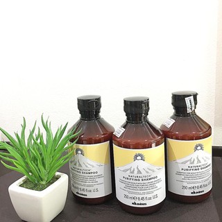 (Chính Hãng Giá Sỉ) Dầu Gội Cho Da Đầu Gàu DAVINES PURIFYING Shampoo 250ML