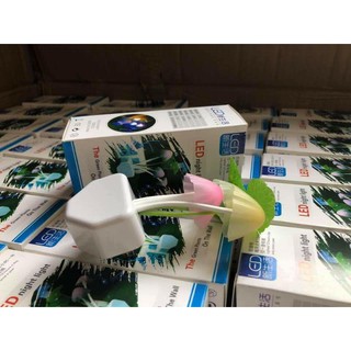 Đèn ngủ hình cây nấm
