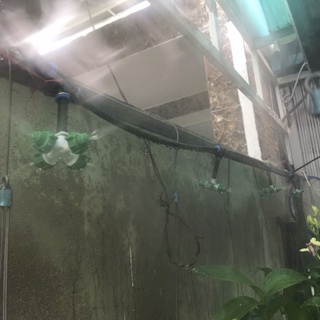 CUỘN 20m DÂY PHUN SƯƠNG PE ĐEN 8mm