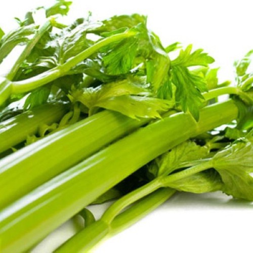 Hạt giống cần tây mỹ gói 0.2g khả năng nảy mầm cao