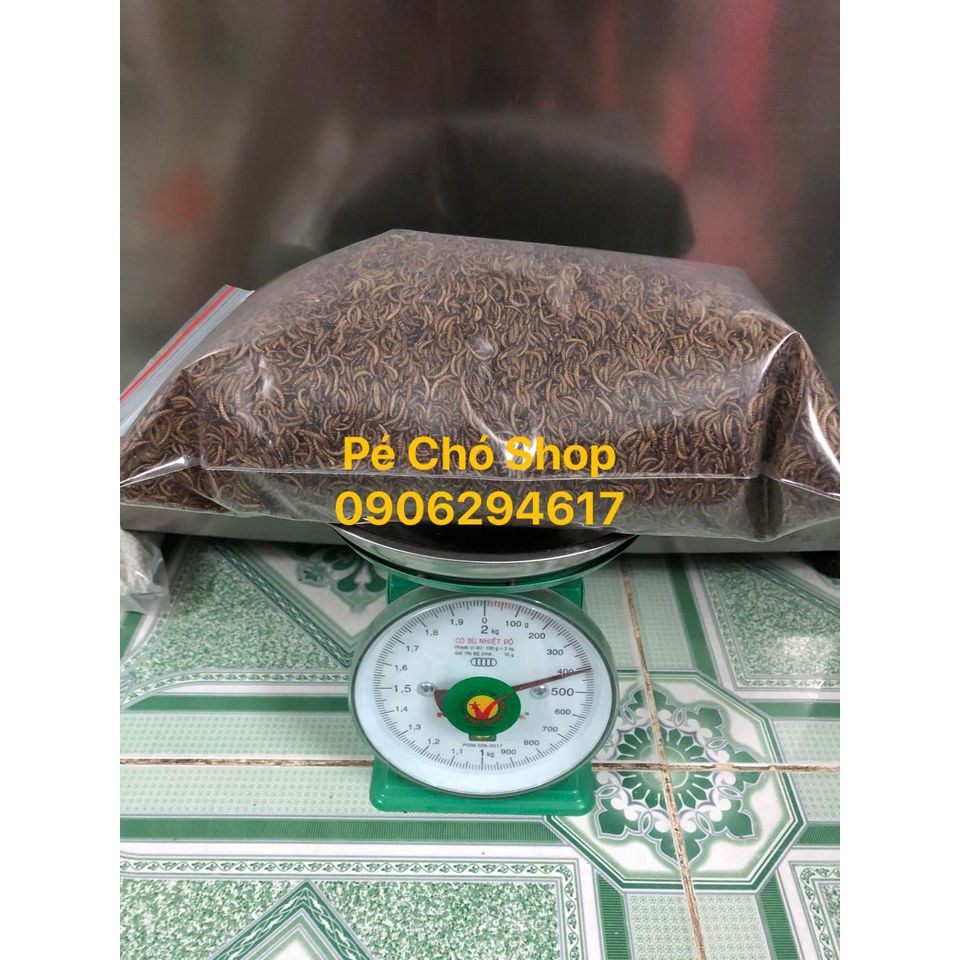 Sâu gạo rang khô cho hamster,gà,chim,nhím,sóc ,..