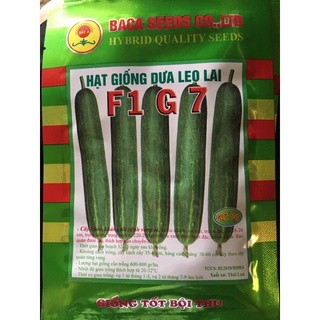 Hạt giống dưa leo lai f1 g7
