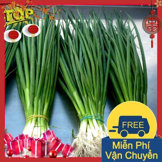 Combo 2 Gói Hạt Giống Hành Lá