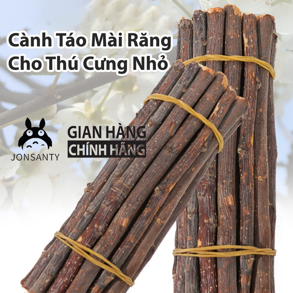 Cành táo mài răng cho thỏ, chuộ hamster, bọ ú, mài răng cho thú cưng nhỏ cst008