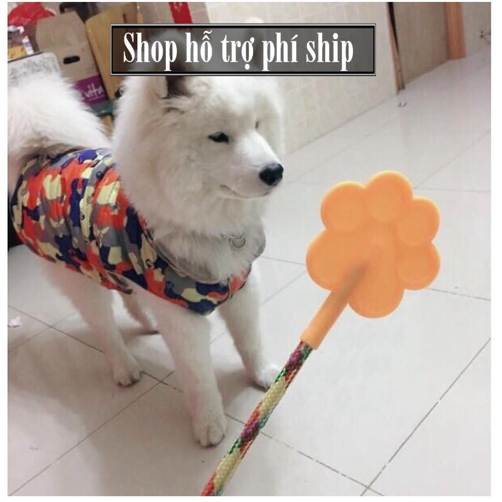 Hỗ trợ Ship- Roi dạy cún cưng màu ngẫu nhiên