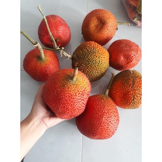 Son dưỡng gấc có màu