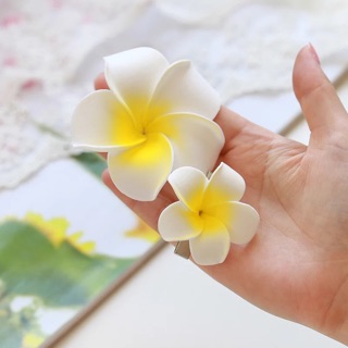 Kẹp Tóc Hoa (Order)