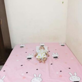 ga chống thấm cotton m8*2m ( đệm cao 5-10p)