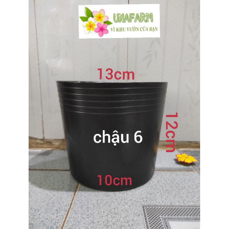 Combo 10 chậu nhựa đen mềm size C6