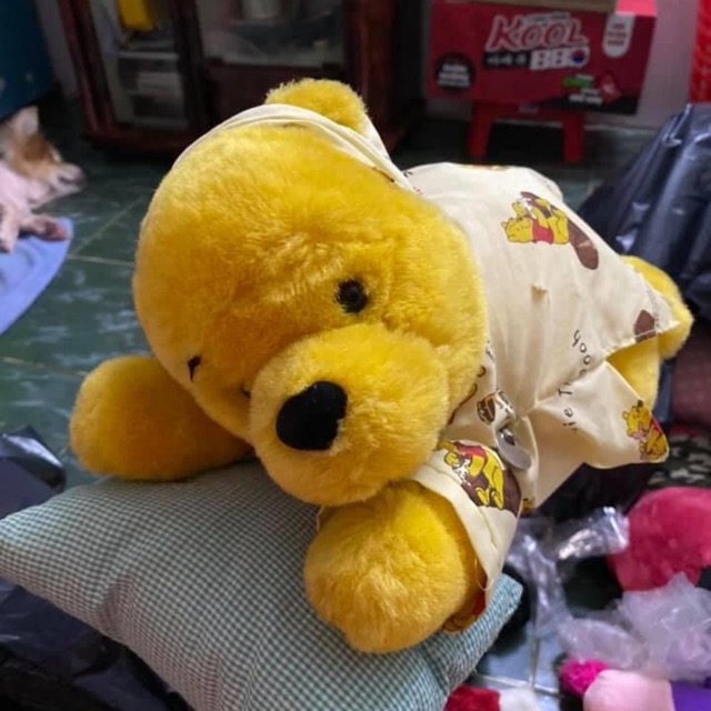 Gấu Pooh nằm ngủ (2hand) 30CM - hàng nhập