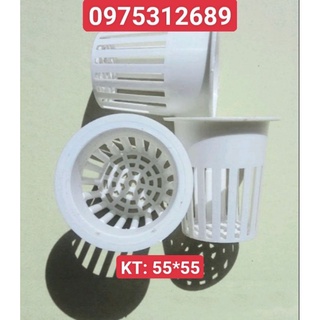 ro nhựa thủy canh com bo 50 cai kt 55*55