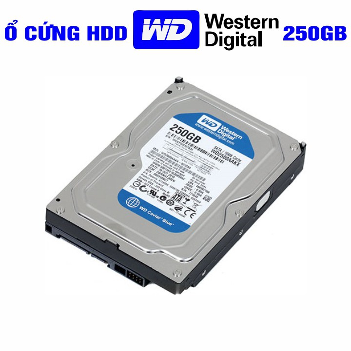 5 Option Ổ cứng HDD 3.5” WD Blue 250GB - Chính Hãng – Bảo hành từ 1-24 tháng 1 đổi 1 – Tháo máy đồng bộ mới 99%