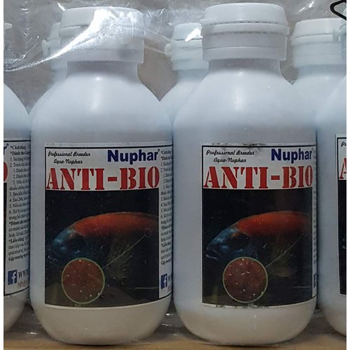 Dược phẩm ANTI BIO - Nấm sẽ biến mất khỏi Cá Yêu của bạn