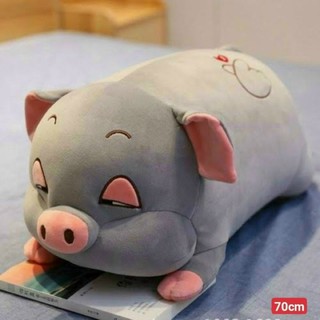 Gối ngủ Heo mơ màng