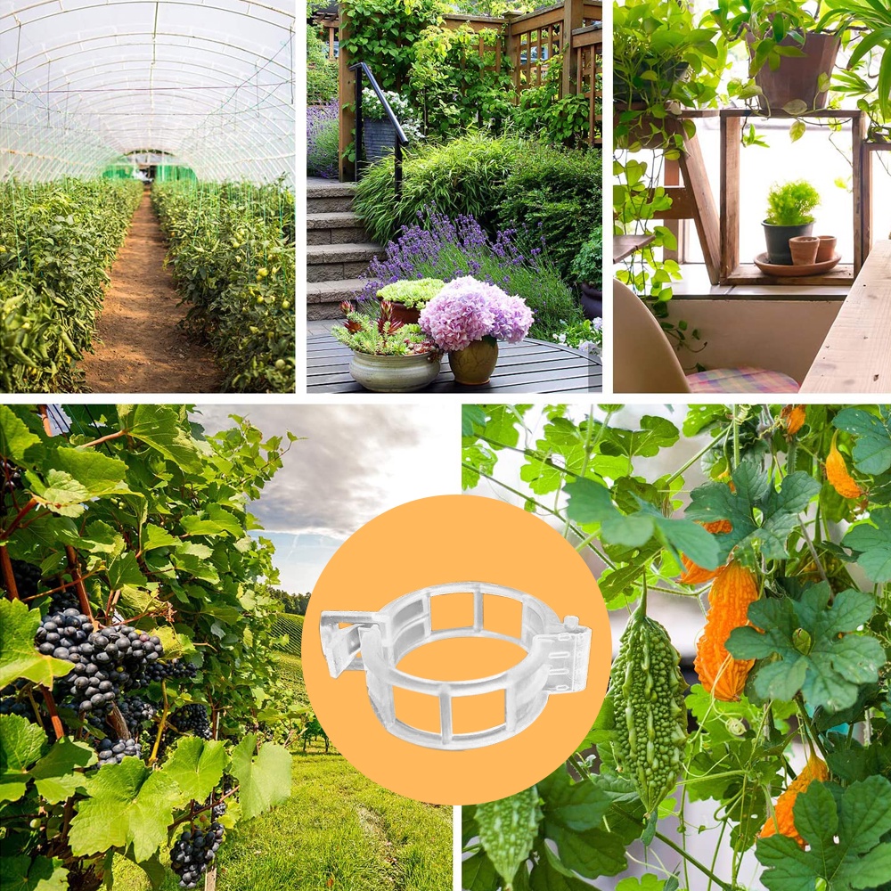 Kẹp nhựa cố định cây trồng có thể tái sử dụng