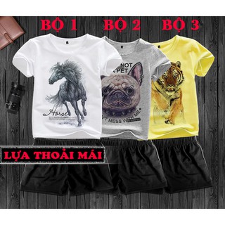 Quần áo cho trẻ Hắc mã, Chó hồng đeo khuyên, Hổ vàng trên tuyết