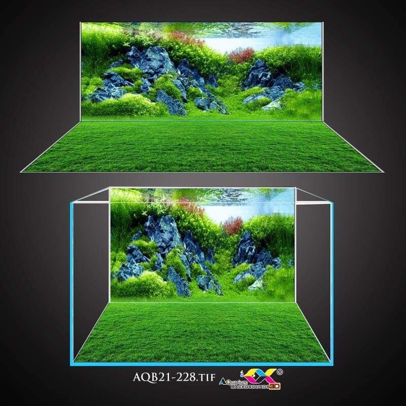 Bộ tranh bể cá lưng + đáy( kt 100x50x60cm)