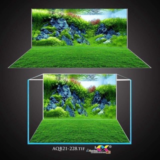 Bộ tranh bể cá lưng + đáy( kt 100x50x60cm)