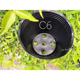 Chậu nhựa đen C6