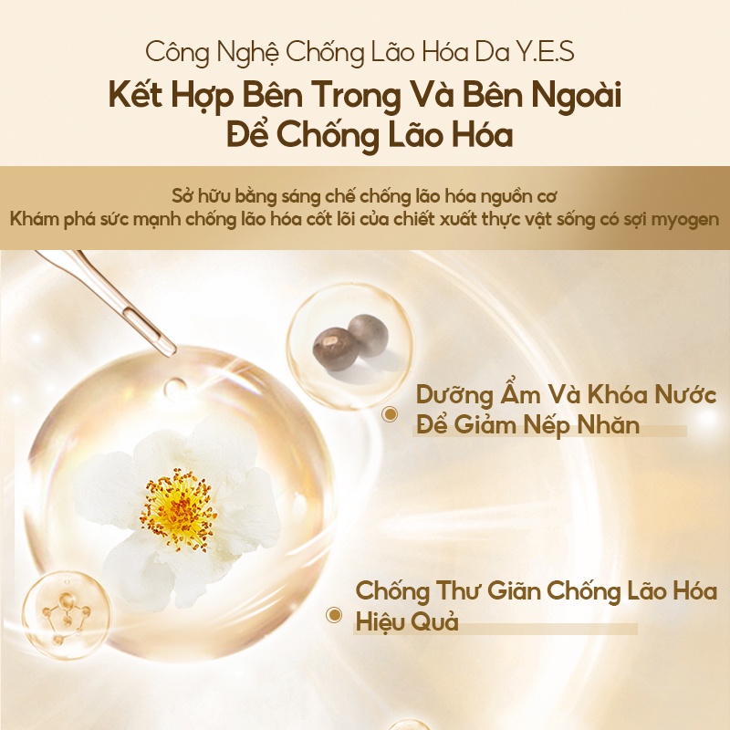 Kem dưỡng da INOHERB chiết xuất hoa trà trẻ hóa làm săn chắc làn da chống lão hóa 3g
