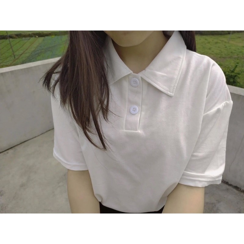 áo polo 2 màu ( hàng có sẵn )