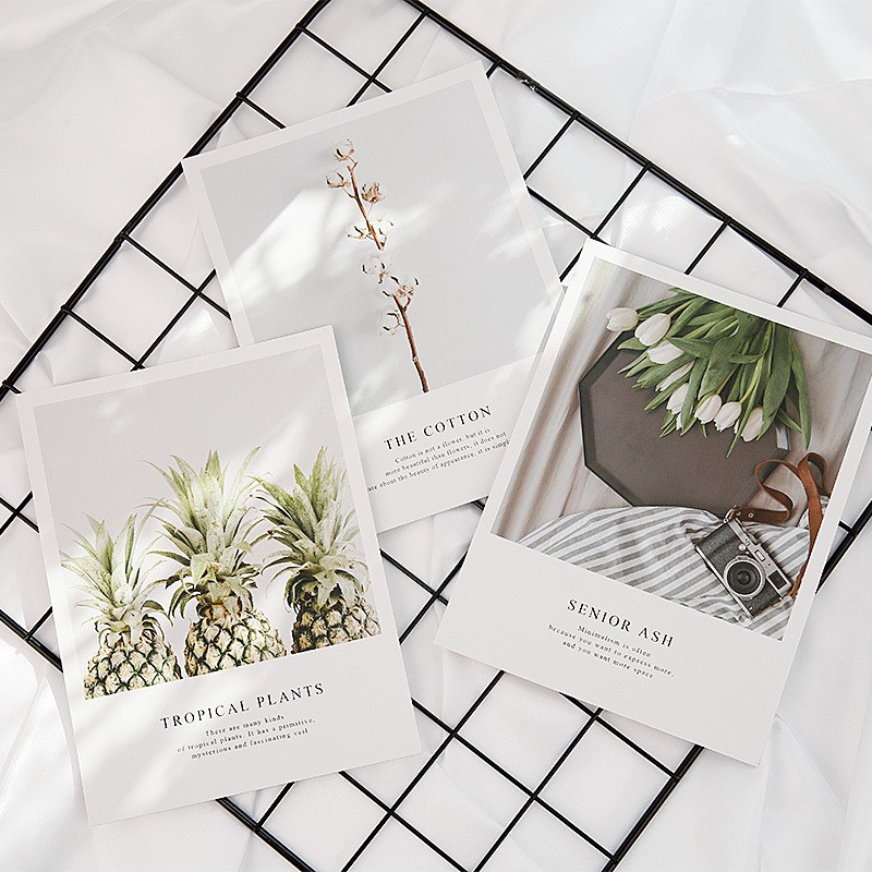 [Phụ kiện chụp ảnh] Bìa tạp chí chụp ảnh Size nhỏ