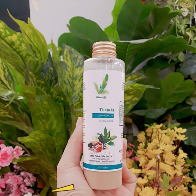 Thảo dược tái tạo da