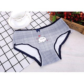 Combo 6 Quần lót cotton cao cấp QL5