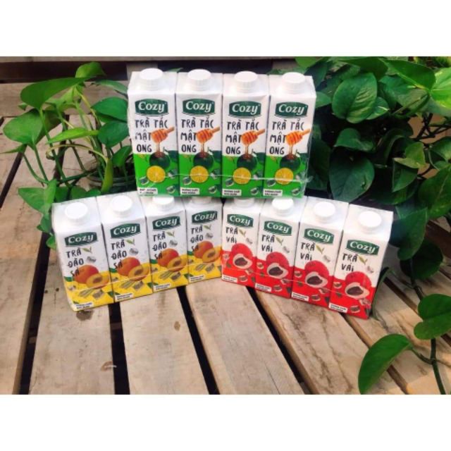 Trà cozy 3 mùi | BigBuy360 - bigbuy360.vn