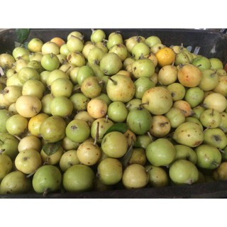 10kg táo mèo tươi Điện Biên