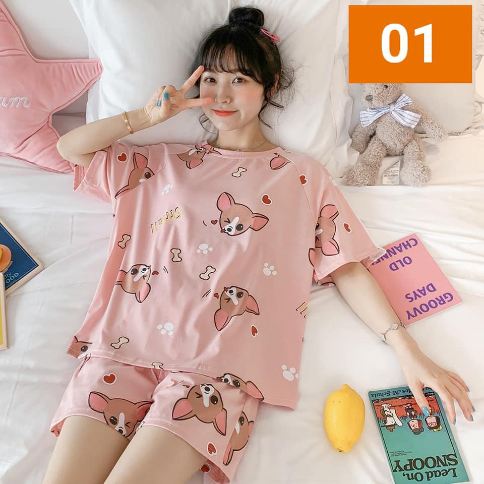 [HOT SALE] BỘ ĐỒ NGỦ NỮ ĐÁNG YÊU SIÊU XINH 🌹 Mã RE142 🌹