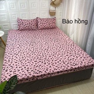 Bộ ga vỏ gối 3 món cotton poly (1 ga giường + 2 vỏ gối nằm)