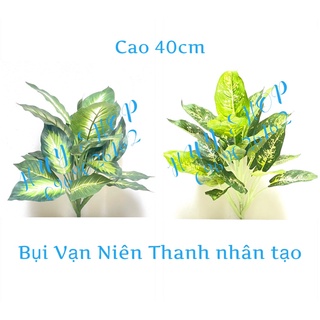 Bụi Lá VẠN NIÊN THANH nhân tạo 40cm trang trí nhà cửa